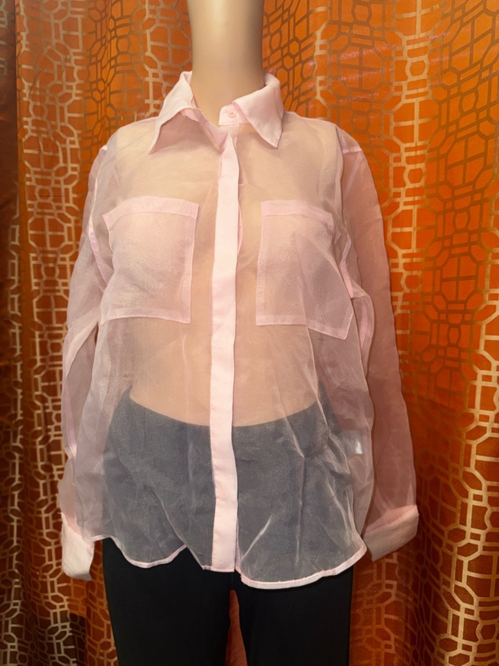 Rachel Zoe Pink Sheer Button Up Blouse Medium Chic Lightweight Top
